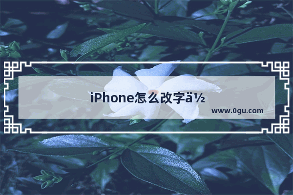 iPhone怎么改字体
