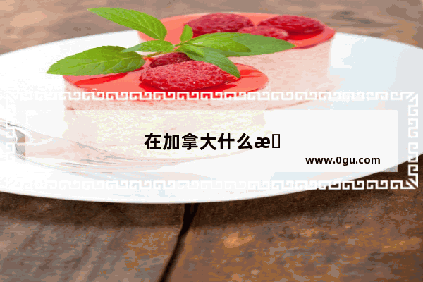 在加拿大什么手机好用