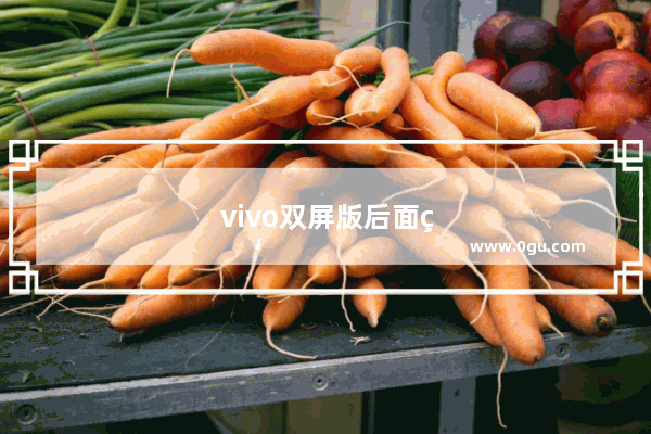 vivo双屏版后面的屏为什么不亮了
