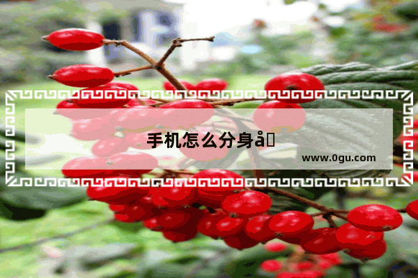 手机怎么分身其他应用