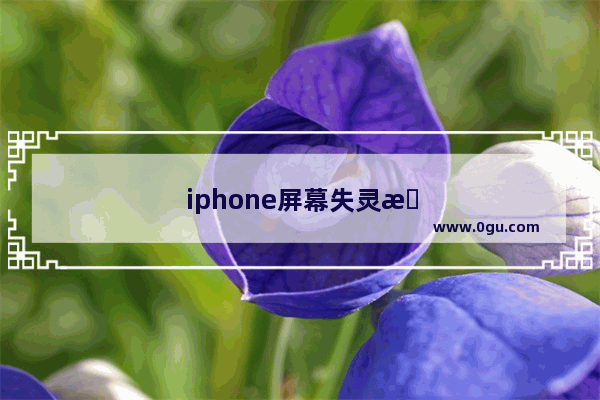 iphone屏幕失灵怎么解决