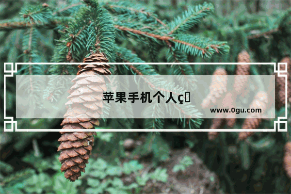 苹果手机个人热点功能不见了