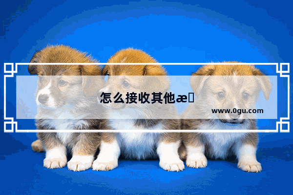 怎么接收其他手机号的验证码