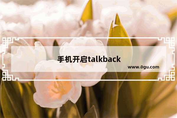 手机开启talkback怎么退出