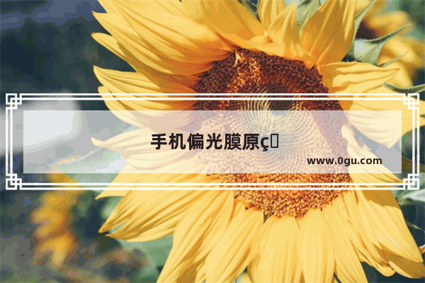 手机偏光膜原理