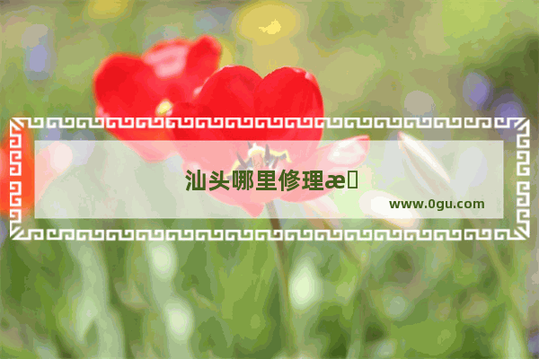 汕头哪里修理手机比较好