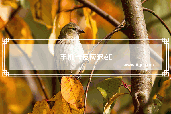 手机卡反应迟钝怎么处理