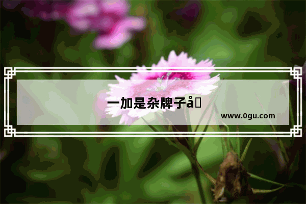 一加是杂牌子吗
