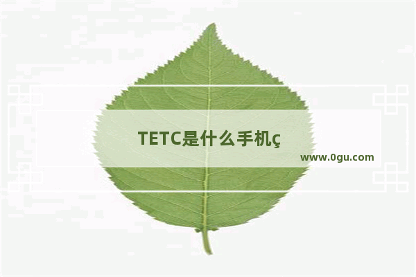 TETC是什么手机牌子的
