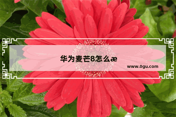 华为麦芒8怎么样