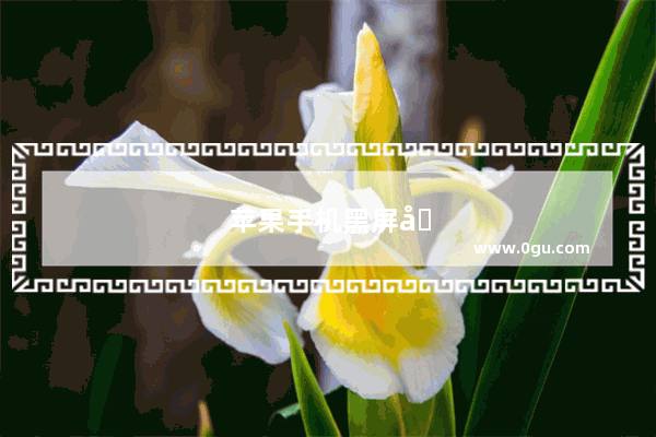苹果手机黑屏关机打不开怎么办