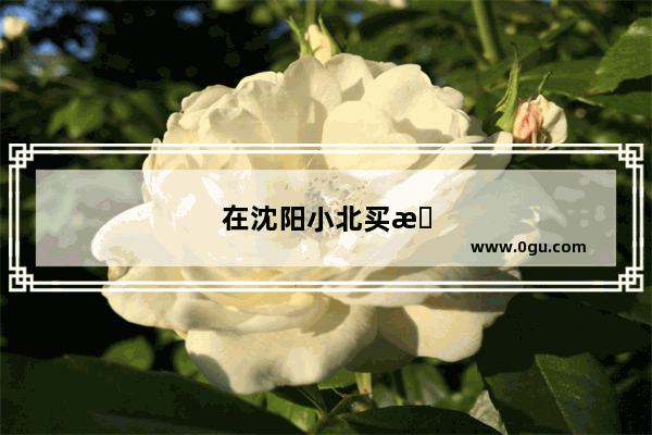 在沈阳小北买手机可靠吗