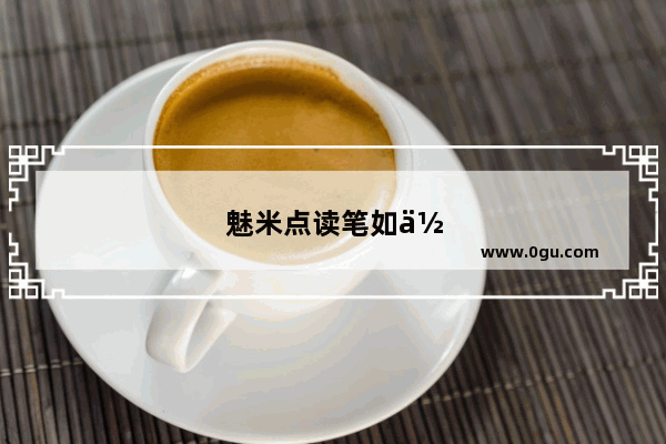 魅米点读笔如何连网