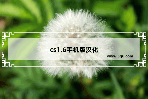 cs1.6手机版汉化版下载教程