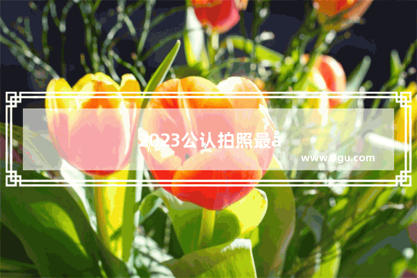 2023公认拍照最强手机