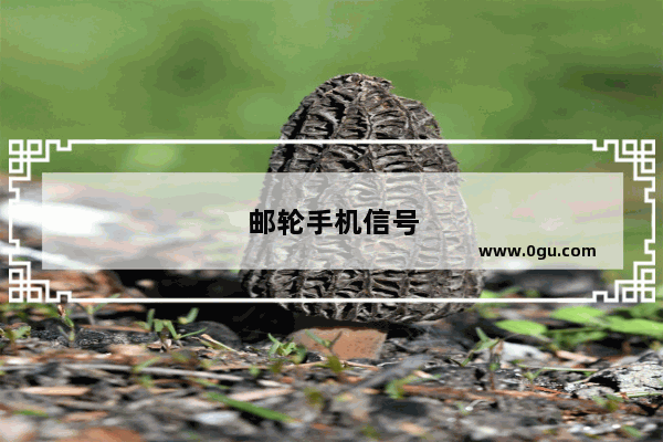 邮轮手机信号