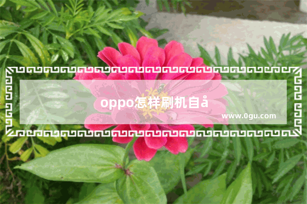 oppo怎样刷机自己在家刷机