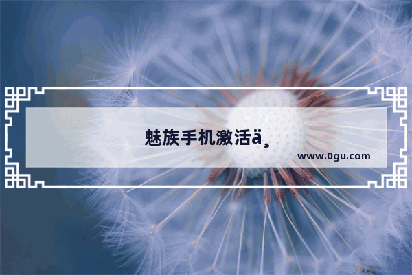 魅族手机激活不了怎么办