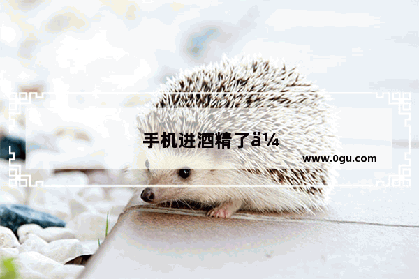 手机进酒精了会坏吗