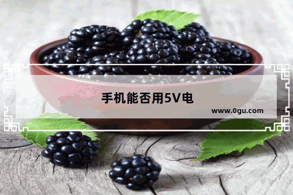 手机能否用5V电压的外接电池