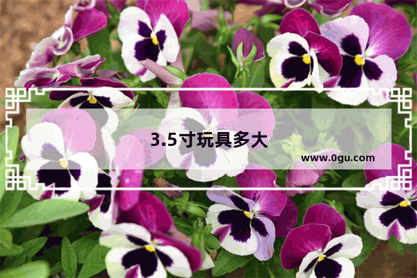 3.5寸玩具多大