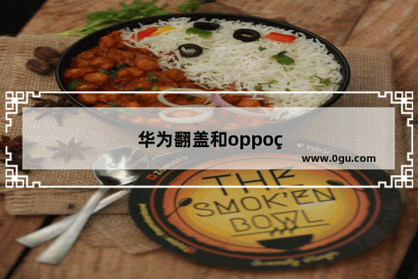 华为翻盖和oppo翻盖哪个好