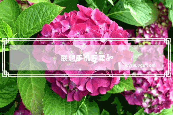 联想手机专卖店地址