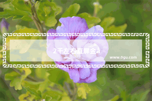 2千左右直屏金属中框带光学防抖的手机有哪些