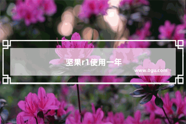 坚果r1使用一年后感受