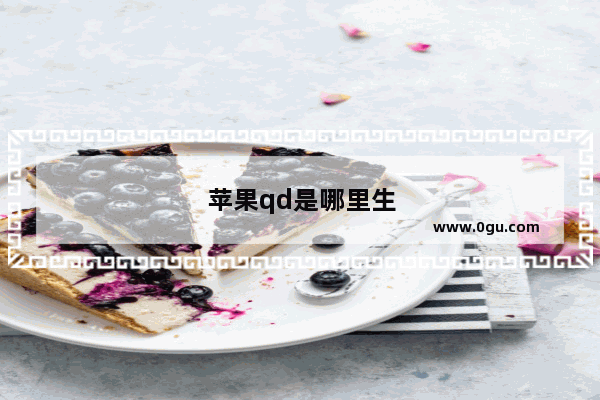 苹果qd是哪里生产
