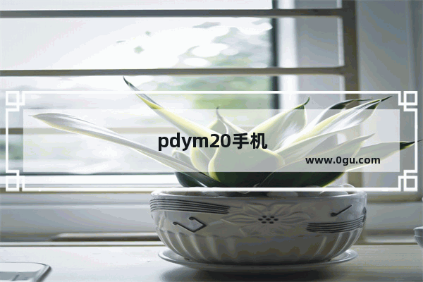 pdym20手机