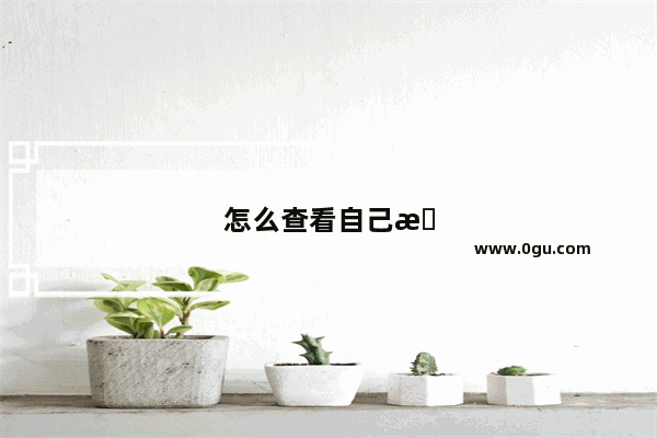 怎么查看自己手机能有多少帧