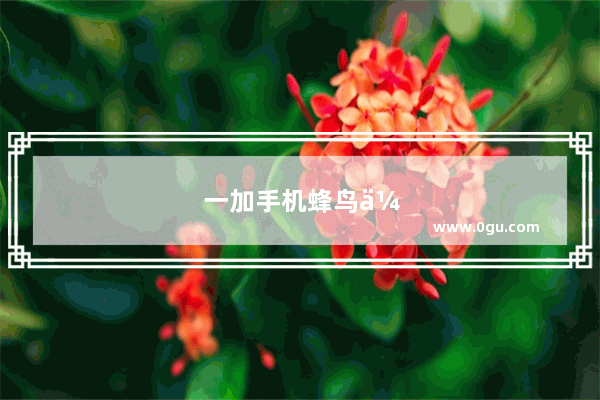 一加手机蜂鸟众包手机卡顿怎么解决