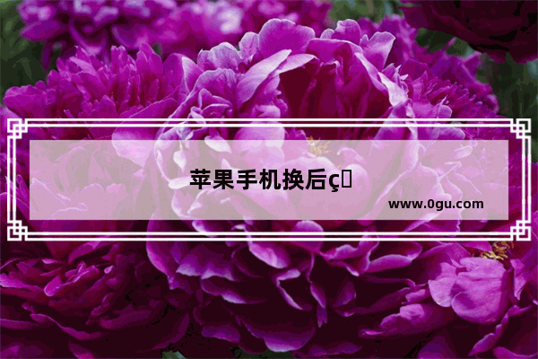 苹果手机换后盖多少钱