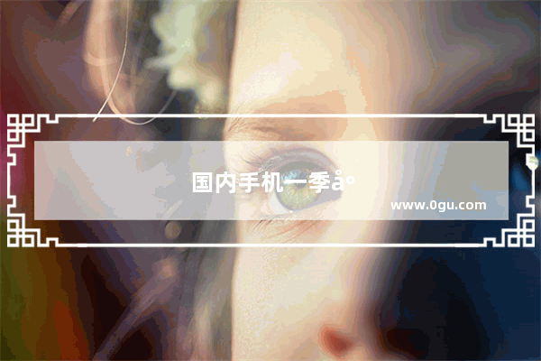 国内手机一季度排名