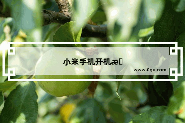 小米手机开机有震动但屏幕不亮了