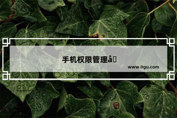 手机权限管理在哪里打开