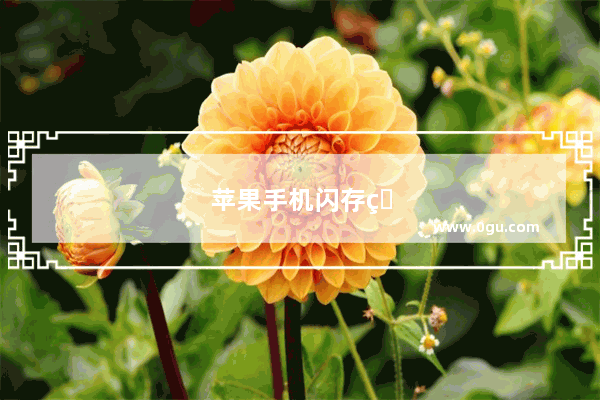 苹果手机闪存盘的用法