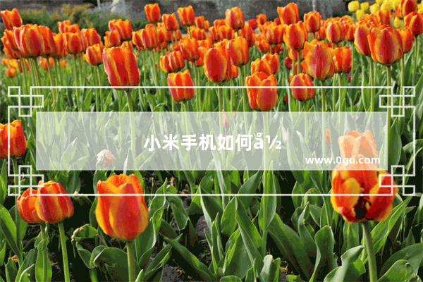 小米手机如何录音别人讲话