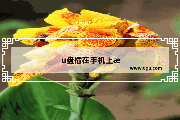 u盘插在手机上怎么打开