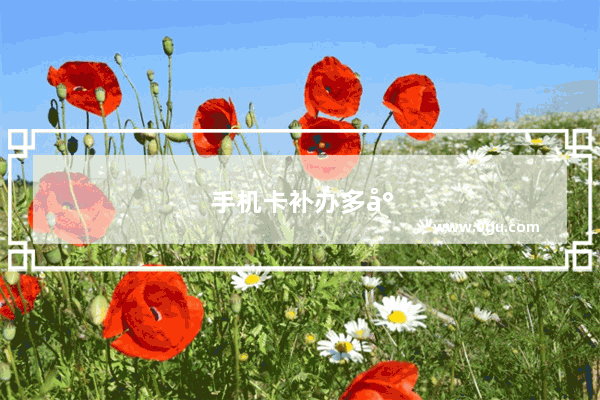 手机卡补办多少钱一张
