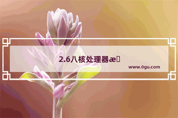 2.6八核处理器手机