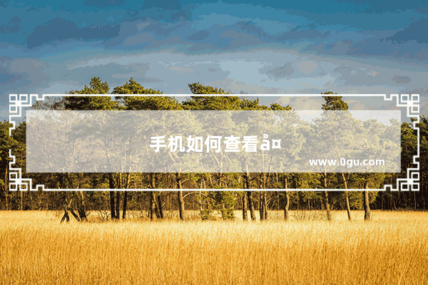 手机如何查看外置存储卡
