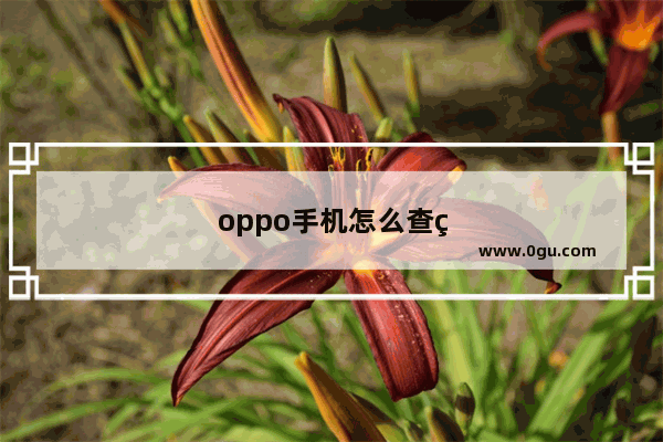 oppo手机怎么查看手机温度呀