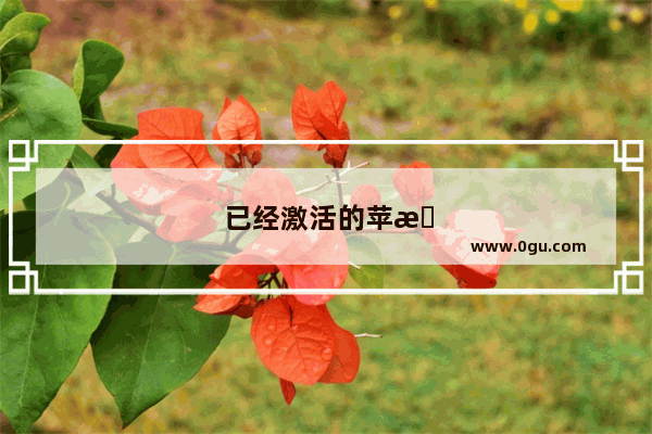 已经激活的苹果机怎么转移数据