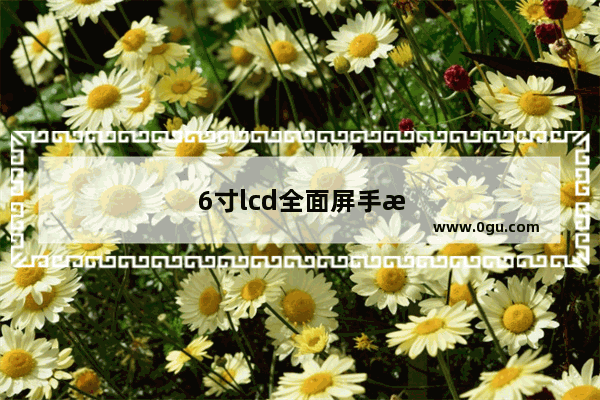 6寸lcd全面屏手机