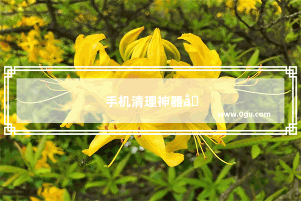 手机清理神器储存空间清理