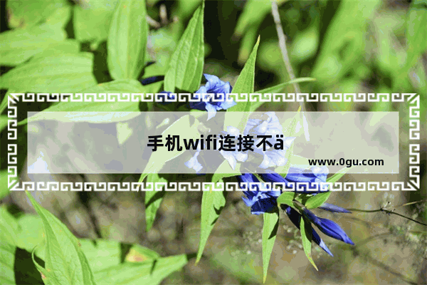 手机wifi连接不上是什么原因