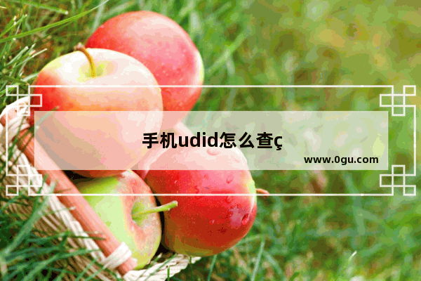 手机udid怎么查看?