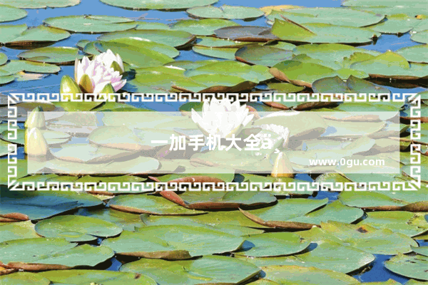 一加手机大全中关村